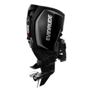 Evinrude H250HGLO 250 H.O Outboard Motor